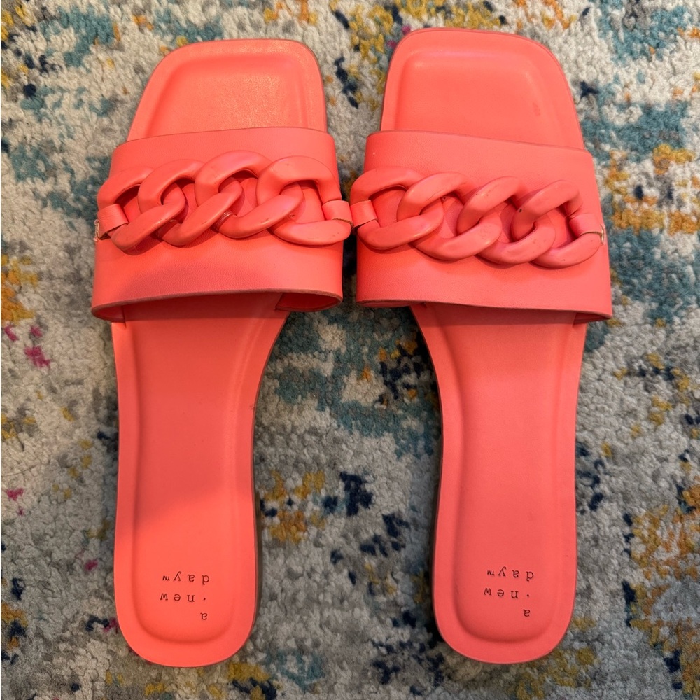 A New Day Coral Slides